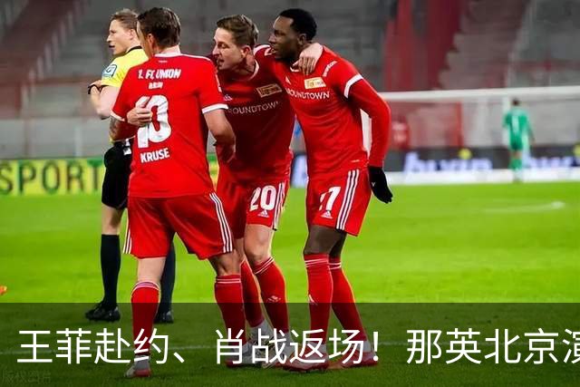 王菲赴约、肖战返场！那英北京演唱会，半个娱乐圈迎大团建